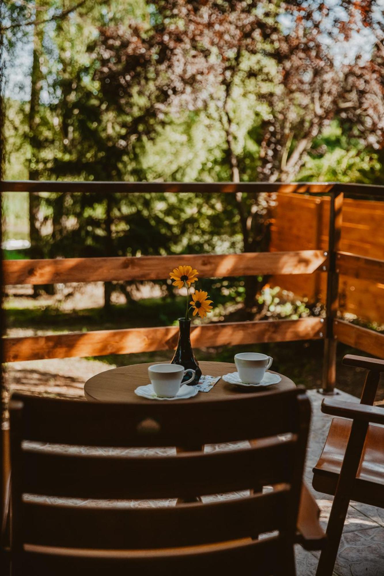 Mesa Summer House Zakrzewo  Εξωτερικό φωτογραφία